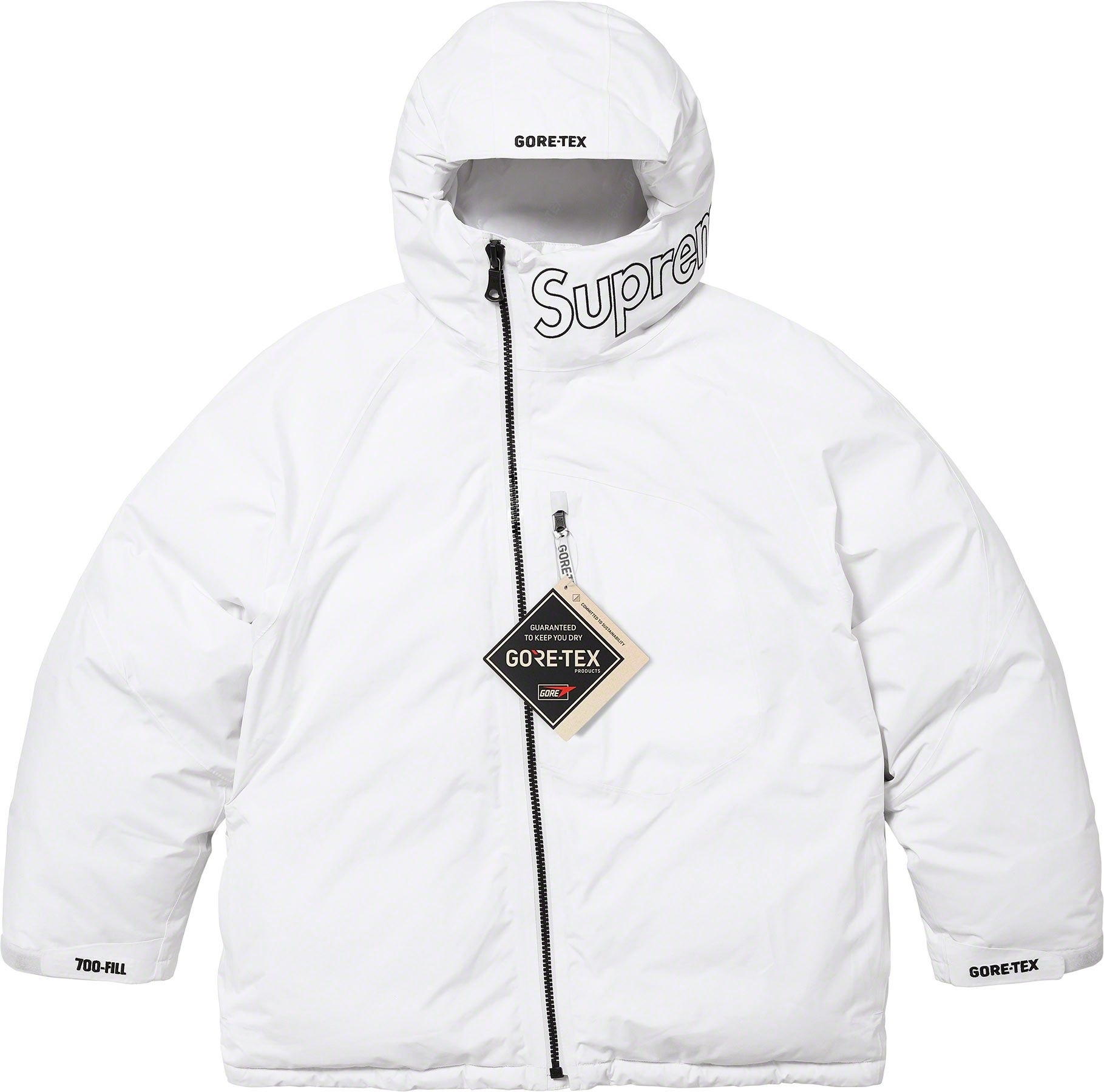 GORE-TEX 700-Fill Down Parka view 5